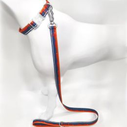 Blue-Orange Gradient Dog Collar & Leash Set, Waterproof Wear-Resistant TPU, Transparent Quick-Release Buckle, for Small & Medium Dogs (size: L)